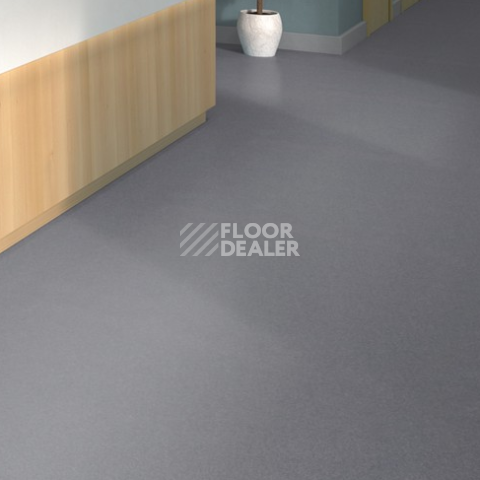 Tarkett iq Melodia 2604 фото 2 | FLOORDEALER